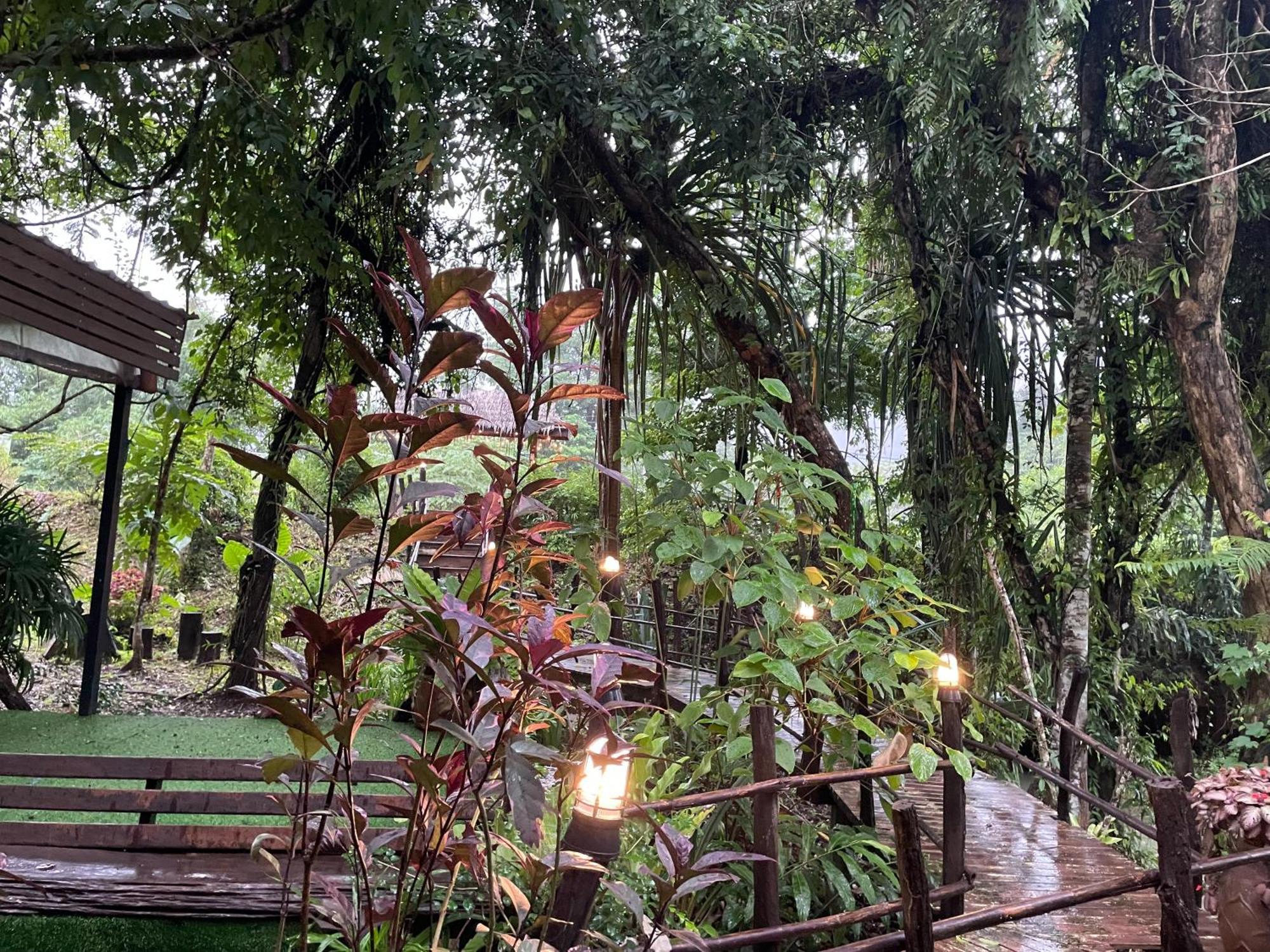 Khaosok Farmstay Khao Sok National Park Eksteriør bilde
