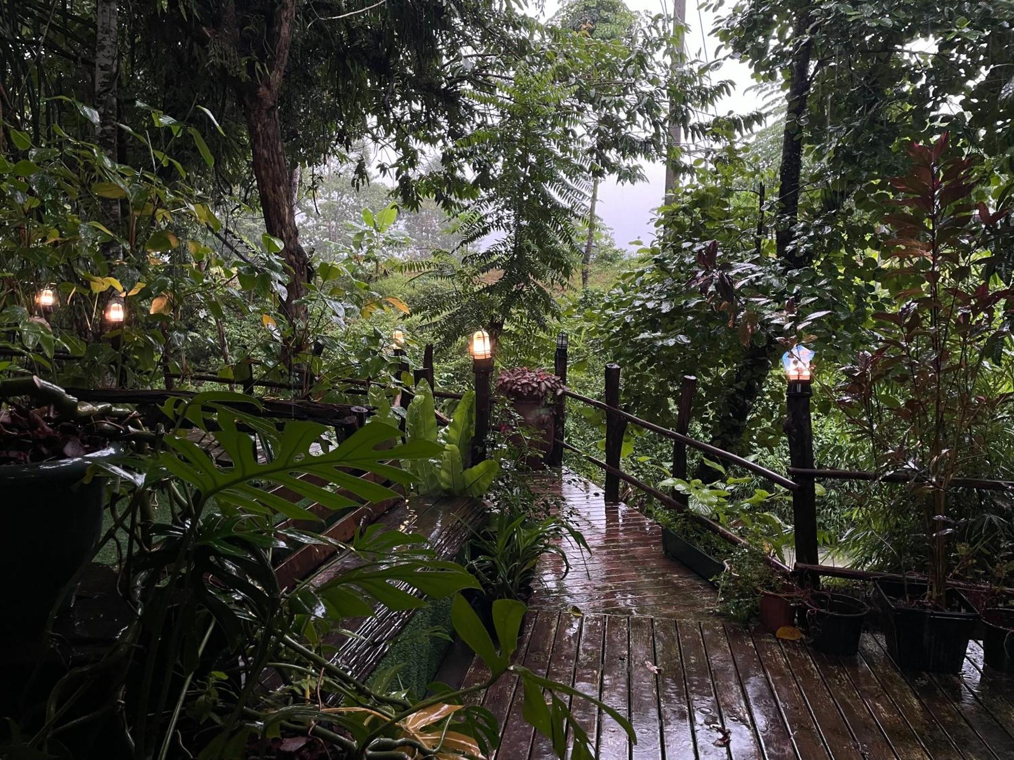 Khaosok Farmstay Khao Sok National Park Eksteriør bilde